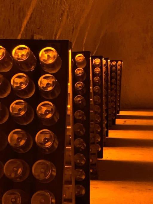 Le Gite De L'Echappee Champenoise Sept-Saulx Εξωτερικό φωτογραφία